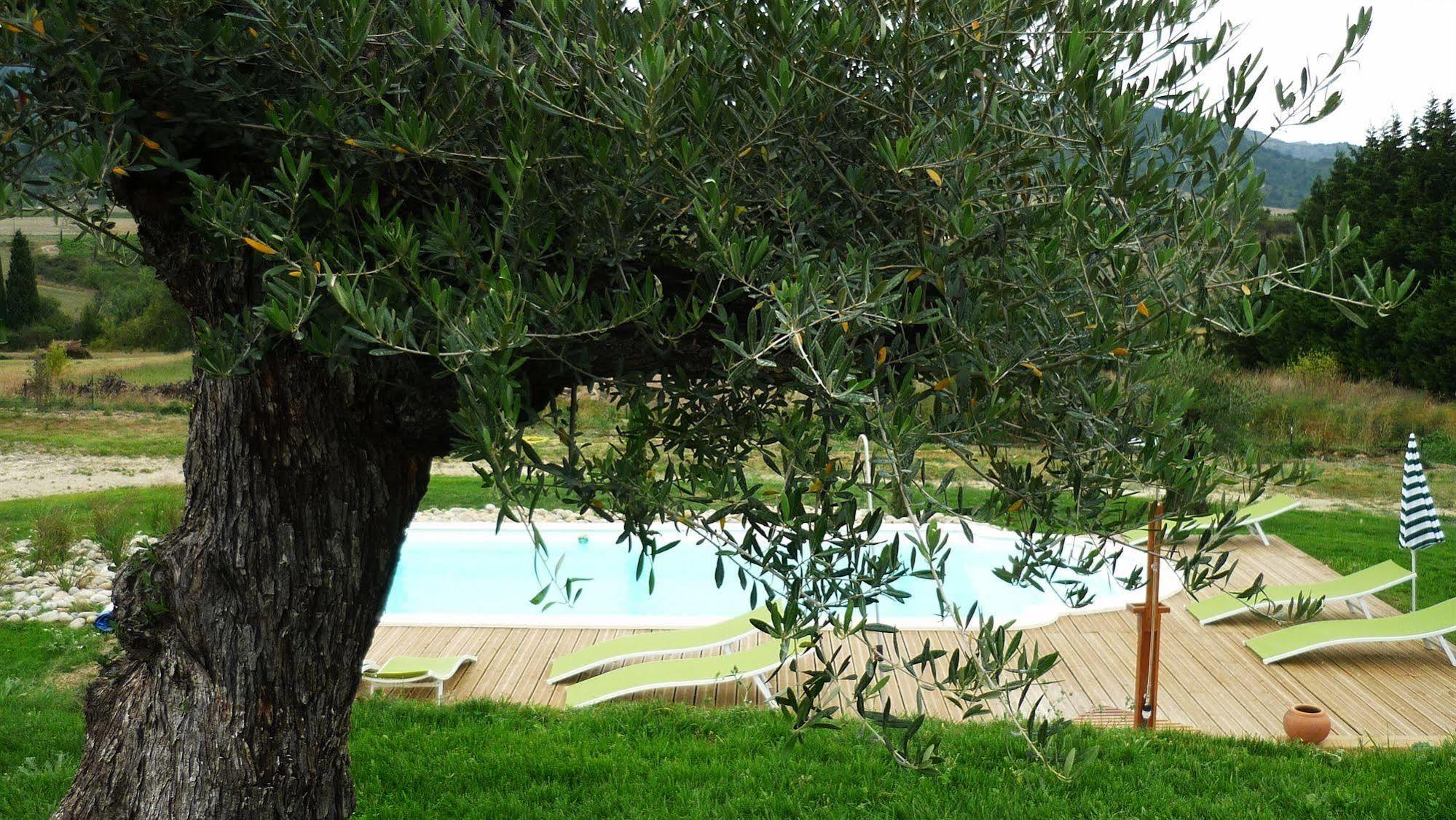Bed and Breakfast Relais De L'Alsou- Piscine Labastide-en-Val Экстерьер фото